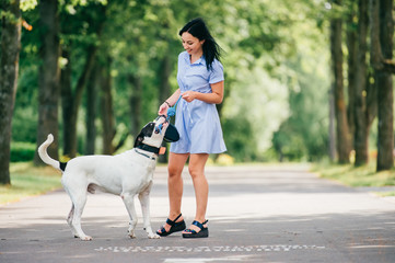 Happy cheerful smiling brunette girl in blue summer dress playing with big hunting dog in park. Beautiful young woman training her active funny puppy outdoor. Cute teen loves animals. Breeding pet