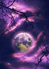 Photo sur Plexiglas Anti-reflet Pleine Lune arbre Branches sans feuilles et pleine lune