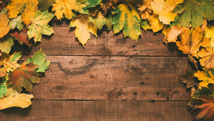 autumn leaves on dark wood background