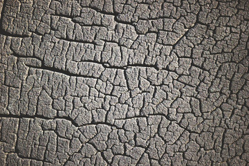 Texture of of tire cracks. Suitable for use as background articles about automotive.