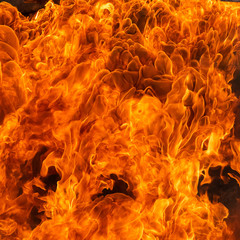 Fire flame effect for background and abstract