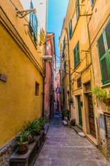 Fototapeta na wymiar Characteristic narrow streets with colorful buildings in Vernazza, in the Cinque Terre, Liguria, Italy region.