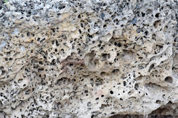 rock surface background