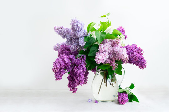 Fresh lilac flowers in glass vase over white table background