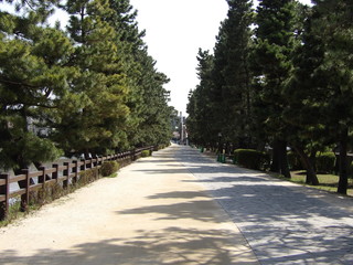 街路樹