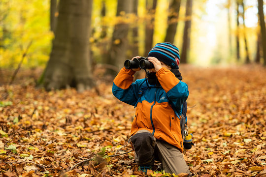 Kleiner Junge mit Fernglas beobachtet die Natur im Wald