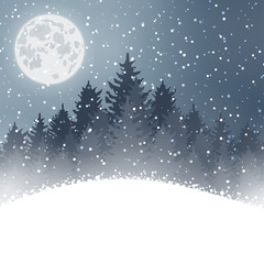 Winter christmas forest