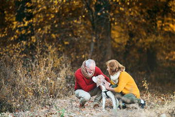 A senior couple with a dog in an autumn nature.