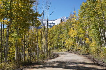 Obraz premium road in the autumn forest