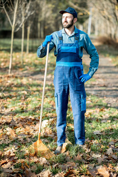 Portrait of a professional male sweeper in blue uniform raking leaves in the garden during the autumn time
