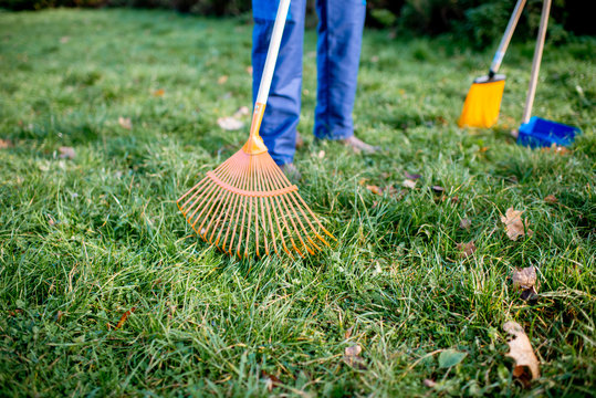 Man sweeping leaves with orange rake on the green lawn, close-up view with no face
