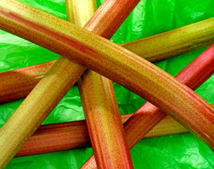 RHUBARB STICKS