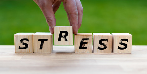 Dices form the word "STRESS"