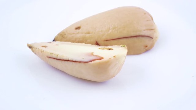 Purified ossicle of avocado