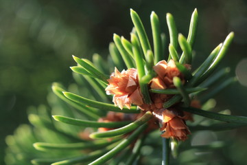 hidden spot in nature