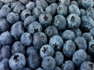 BLUEBERRIES