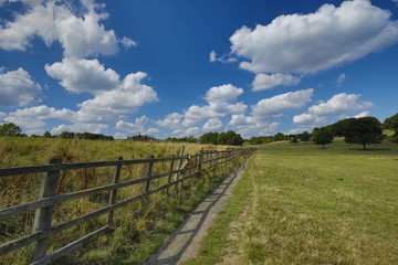 Fototapeta na wymiar summertime in the uk countryside