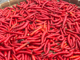 close up of red chilli on bamboo tray