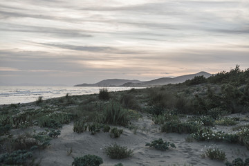 Castiglione della Pescaia Tuscany, Italy - sunset on the beach