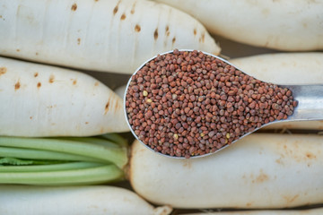 Radish seeds in a spoon