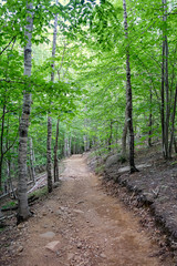 The Beehive Trail, Acadia National Park, Maine