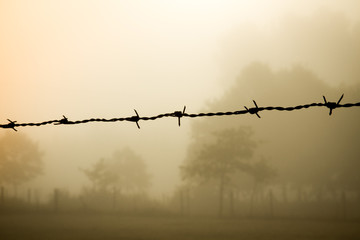 Barbed wire in foggy landscape.