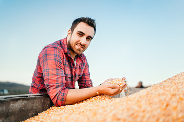 Portrait of farmer with corn, smiling man harvesting