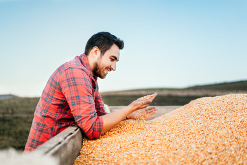 Fototapeta na wymiar Combine harvesting details - people farmers enjoying harvested corn