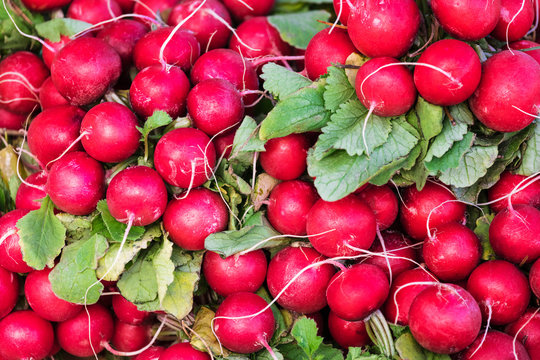 red radish with green leaves on the counter of market