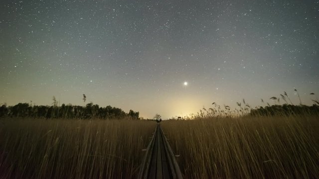Time lapse of stars over a boardwalk nature trail amongst reed
