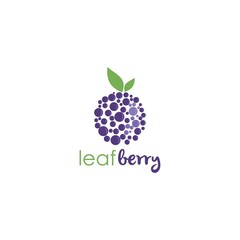 Blueberry Simple Logo, Sign, Icon, Template Vector Design