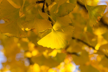 Place de la Republique Theatre de Strasbourg, France