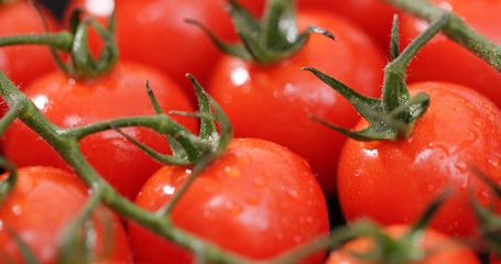 Cherry tomato in red