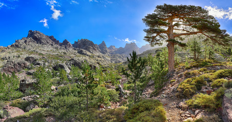 Late afternoon on the GR 20 hiking trail near Asco (Corsica)
