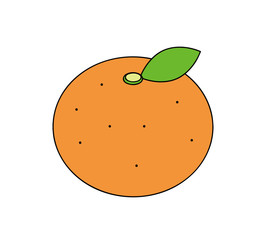 オレンジ　みかん