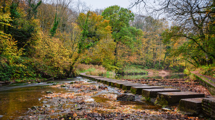 Fototapeta na wymiar Stepping Stones in River Blyth at Humford Woods, in Bedlington Country Park in Northumberland which is popular with walkers and sits on the banks of the River Blyth