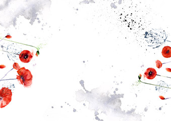Fototapeta na wymiar paint splashing on white background with red poppies