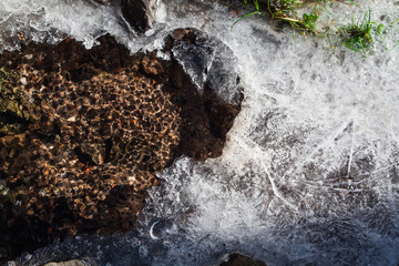 frozen stream with waterfall