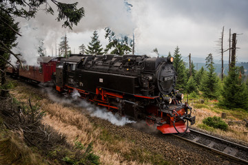 Fototapeta na wymiar Die Harzer Brockenbahn auf dem Weg zum Brocken