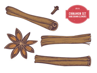 Vector collection of hand drawn colored  cinnamon