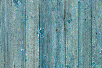 Fototapeta premium Aged Tinted Wooden Fence In Blue. Texture, Background Series.