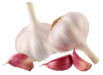 GARLIC BULB AND GARLIC CLOVES CUT OUT