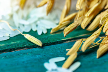 raw rice and rice ears on green wood table