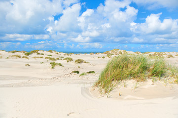 Landscape dunes in front of empty beach