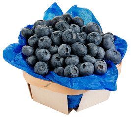 PUNNET OF BLUEBERRIES CUT OUT