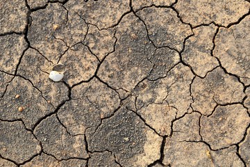 surface dry soil for background