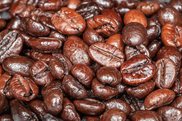 The Coffee Beans