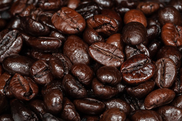 The Coffee Beans