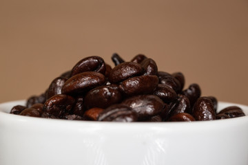 The roasted coffee beans