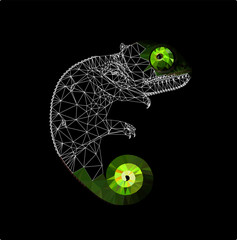 Low poly chameleon on black background, vector illustration EPS 10 isolated.  Polygonal style and wireframe trendy modern logo design. Suitable for printing on a t-shirt. © Oomi